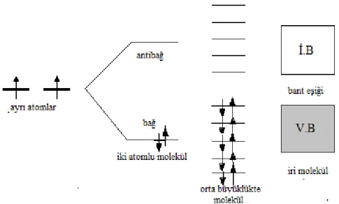 Şekil 1.2. Farklı büyüklükteki moleküllerin oluşumunda elektronların bulundukları enerji                   düzeyleri (Saçak, 2004)