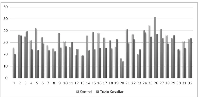 ġekil 4.4. Tuz stresi altında kök yaş ağırlık değerleri (g) ve kontrol bitkileri ile karşılaştırması 