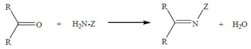 Şekil 1. 1. Schiff bazı oluşum reaksiyonu (R: alkil veya aril, Z: alkil, aril ve hidroksil dışındaki  moleküller)
