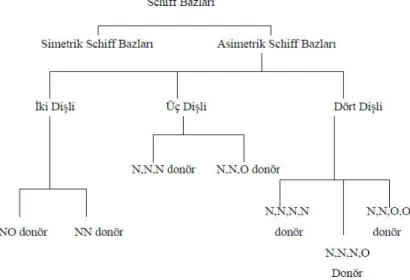 Şekil 1. 2. Schiff bazları sınıflandırılması 