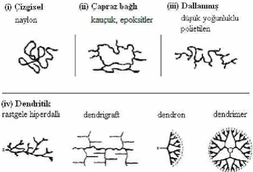 Şekil 1. 10. Polimerik yapıların sınıfları 