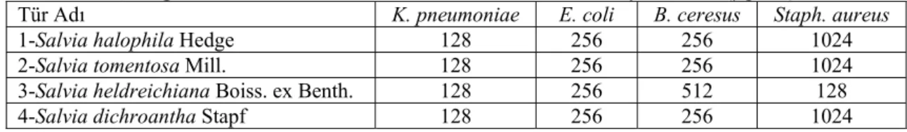 Çizelge 4.2. Bazı Salvia türlerine ait ekstraktların antibakteriyel etkileri (µg/mL) 