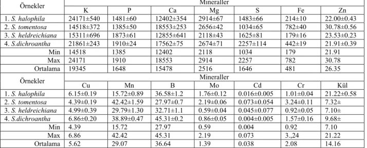 Çizelge 4.3. Bazı Salvia türlerine ait bitkilerin makro ve mikro element ve kül içeriği (mg/Kg; kuru maddede)  Mineraller  Örnekler  K P Ca  Mg S Fe  Zn  1