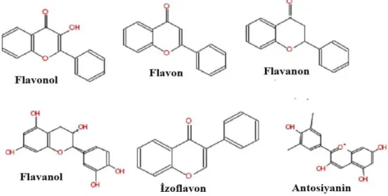 Şekil 2.4.  Flavonoid grupları 