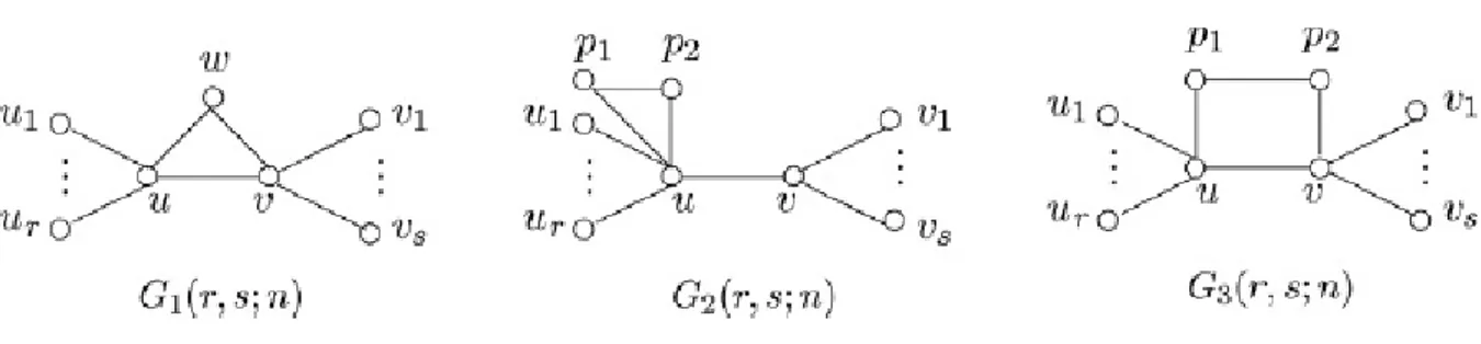 ġekil 2.1.1.2. Tek devir içeren graf örnekleri 