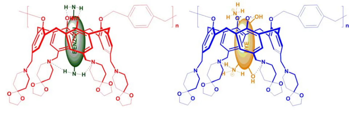 Şekil 1. 39. Azo boya ve aromatik aminler ile kaliks-kopolimerin yapmış olduğu kompleks yapısı 