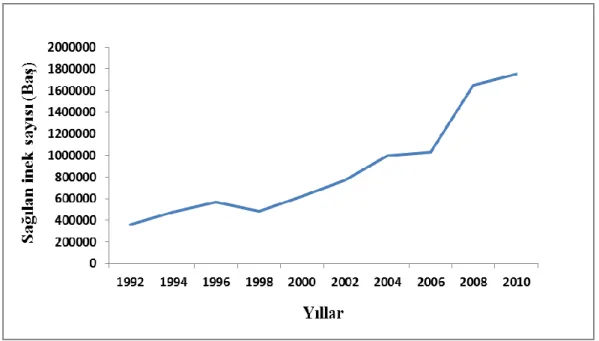 Şekil 4.4. Türkmenistan’da sağılan inek sayısındaki değişmeler 