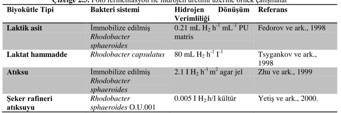 Çizelge 2.5. Foto fermentasyon ile hidrojen üretimi üzerine örnek çalışmalar  Biyokütle Tipi  Bakteri sistemi  Hidrojen  Dönüşüm 