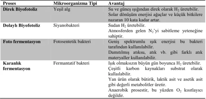 Çizelge 2.6. Biyolojik hidrojen üretim proseslerinin avantajların karşılaştırılması 