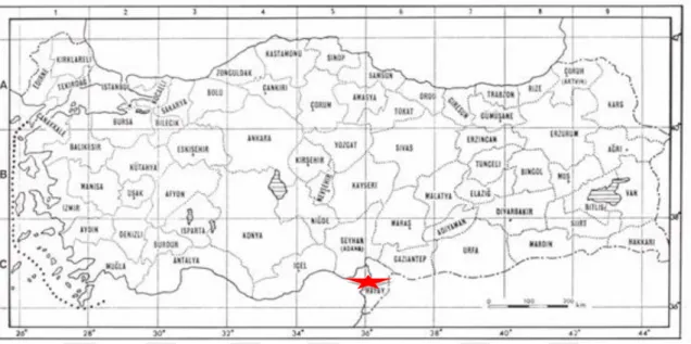 Şekil  3.1.  Araştırma  materyallerinin  Türkiye  haritası  grid  kareleme  sistemi  üzerinde  gösterimi  C5; Centaurea lycopifolia C6; Centaurea cheirolopha 