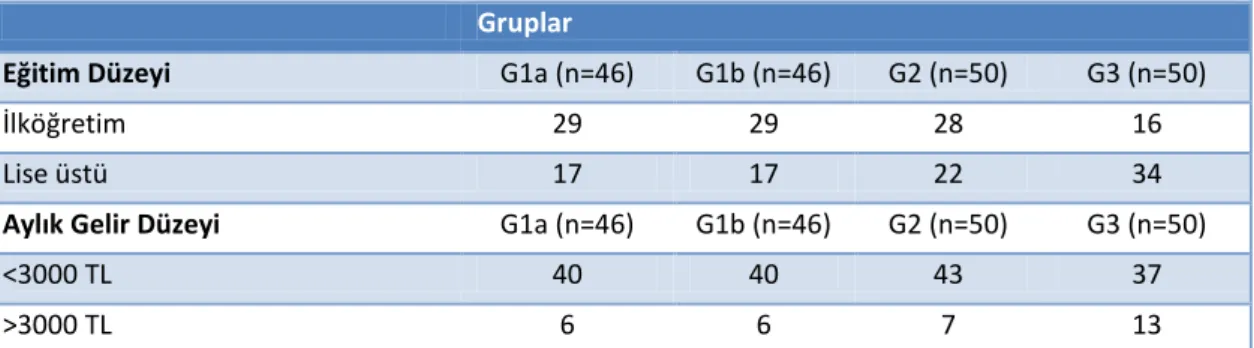 Çizelge 3.1. Gruplara ait eğitim ve aylık gelir düzeyi. 