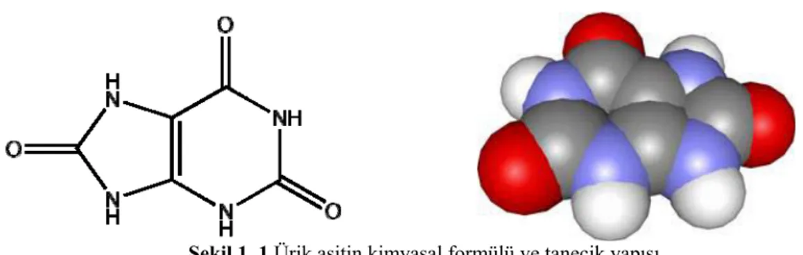 Şekil 1. 1.Ürik asitin kimyasal formülü ve tanecik yapısı 