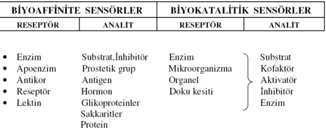 Şekil 1. 9. Biyoaffinite ve Biyokatalitik sensörler 