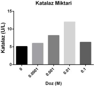 Şekil 3.8. Uygulanan Akrilamidin dozlarına bağlı olarak  CAT miktarındaki değişim. 