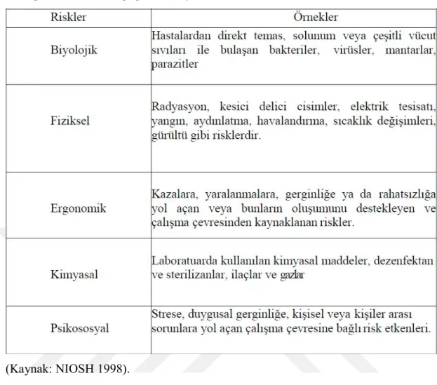 Çizelge 1.5. Çalışan sağlığını etkileyen risk faktörleri.