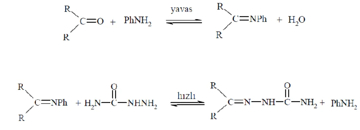 Şekil 1.1.12. Salisilaldehit ve o-nitrofenolde molekül içi hidrojen bağı oluşumu 