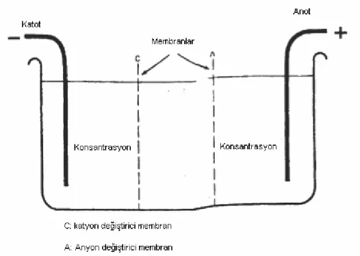 Şekil 2.1. : Elektrodiyalizin hücre diyagramı. 