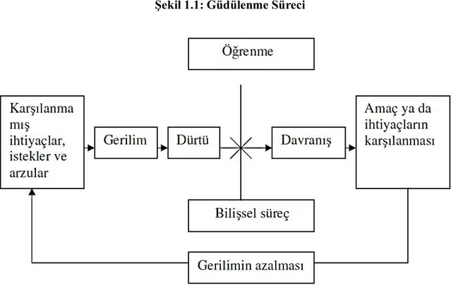 Şekil 1.1: Güdülenme Süreci 