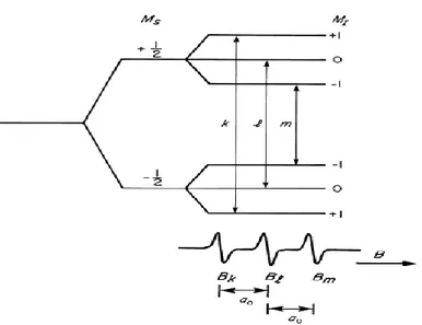 Şekil 4.9. S=1/2 ve I=1 için A.İ.Y. 