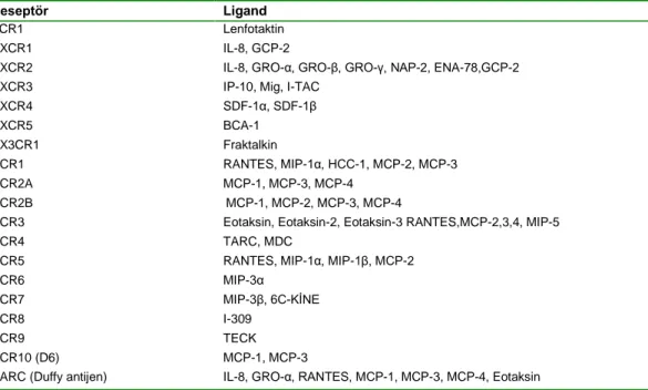 Çizelge 1.2. Kemokin reseptörleri ve ligandları  (Murdoch ve Finn 2000). 