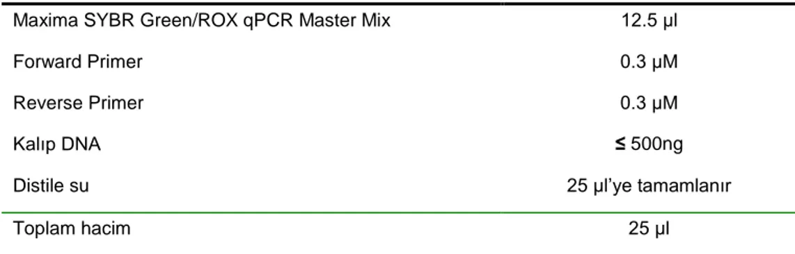 Çizelge 2.1. RT-PCR amplifikasyonu için hazırlanan master miks bileşenleri. 