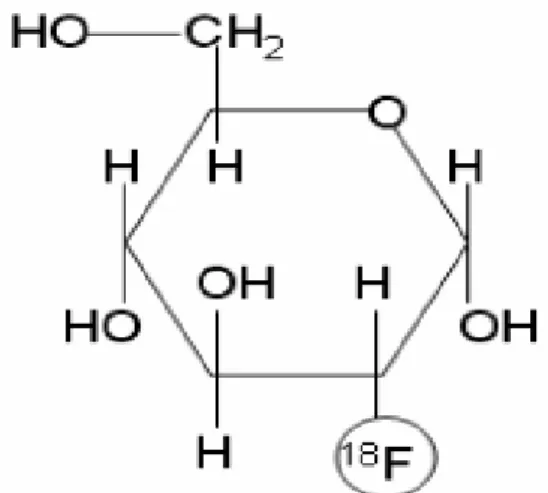 Şekil 4.Flor–18 ile işaretli fluoro–2-deoksi-D-glukoz (FDG). Glukoz molekülündeki hidroksil  grubunun (OH) çeşitli kimyasal işlemler sonucunda  18 F radyoizotopu ile yer değiştirmesi  sonucu elde edilir
