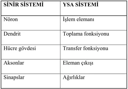 Tablo 3.2: Sinir sistemi ile YSA’nın benzerlikleri  (Sağıroğlu ve ark. 2003) SĐNĐR SĐSTEMĐ   YSA SĐSTEMĐ  
