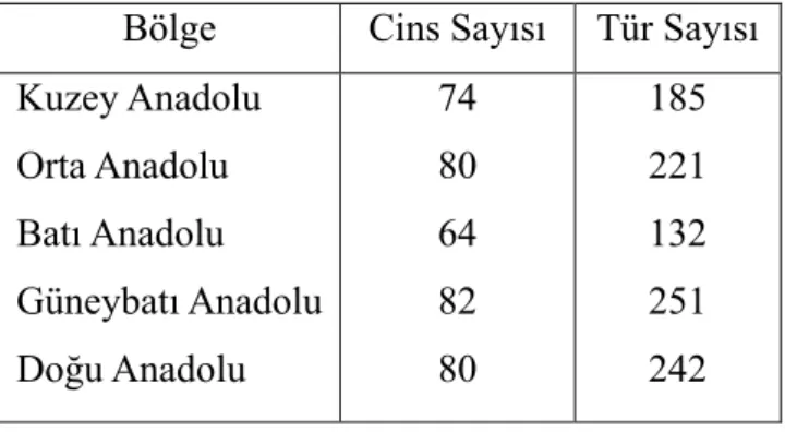 Tablo  1.3.  Türkiye’nin  ana  bölümlerinde  Umbelliferae  familyasına  ait  cins  ve  tür  sayısı (Pimenov &amp; Leonov 2004)