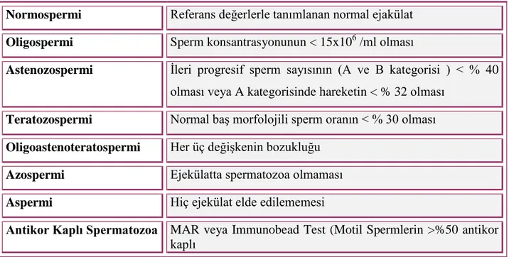 Tablo 2: Sperm Terminolojisi 