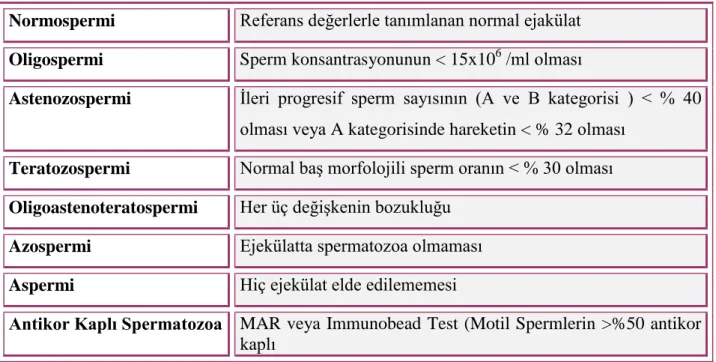 Tablo 2: Sperm Terminolojisi 