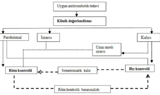 Şekil 2 Hız ve ritm kontrol stratejilerinin seçimi. AF esnasında kalp hızı doğal olarak yavaş olmadığı sürece, AF'si olan çoğu hastada hız  kontrolüne  ihtiyaç  duyulmaktadır