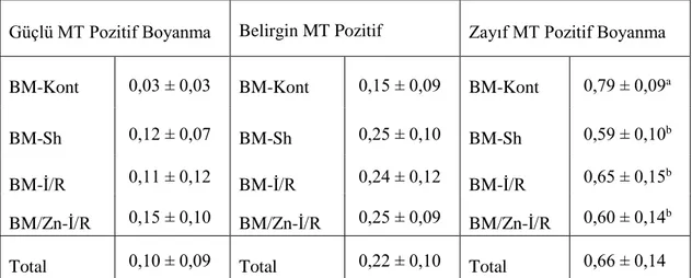 Çizelge 3.3.  Böbrek Medulla Örneklerinde MT Boyanma Yoğunluğu Analiz Sonuçları