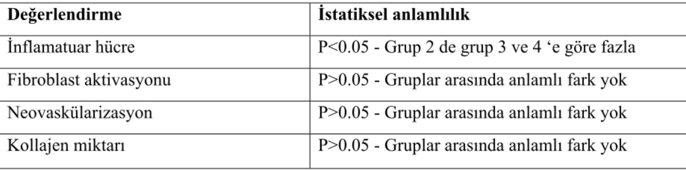 Tablo 5: Tüm gruplar için histopatolojik olarak istatiksel analiz. 