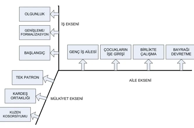 Şekil 2: Aile İşletmesinin Dinamikleri, Üç Boyutlu Evrim Modeli (Kırım, 2001) 