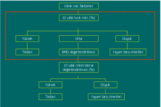 Tablo 7: PM kadınlarda tedavi algoritması  