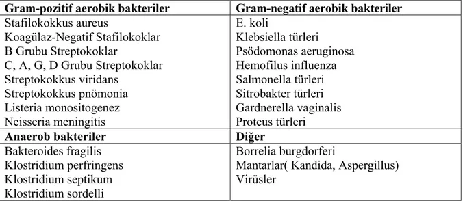 Tablo 2. Yenidoğan sepsisine yol açabilen mikroorganizmalar 