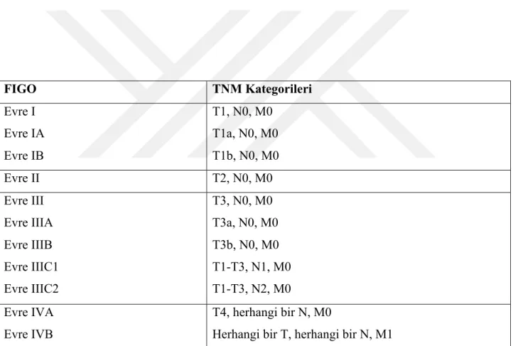 FIGO  TNM Kategorileri  