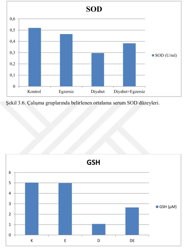 Şekil 3.7. Çalışma gruplarında belirlenen ortalama serum GSH düzeyleri. 