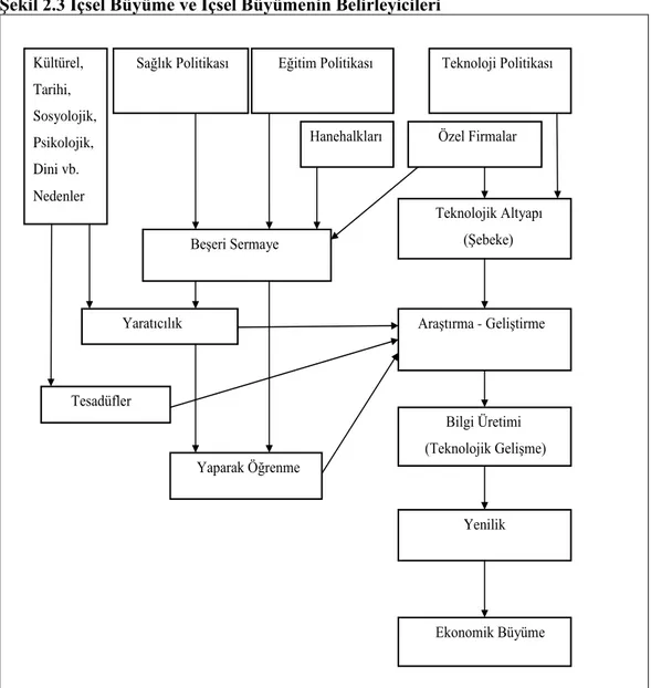 Şekil 2.3 İçsel Büyüme ve İçsel Büyümenin Belirleyicileri