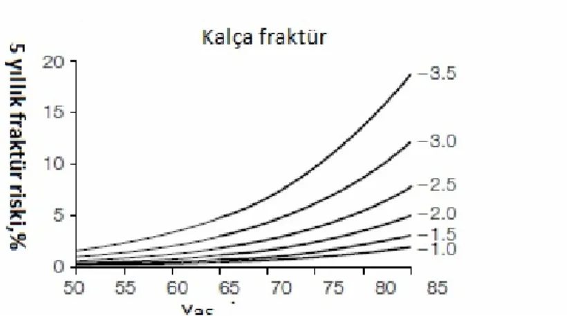 Şekil 1: 50-85 yaş arasında 5 yıllık kalça fraktür risk yüzdesi (35) 