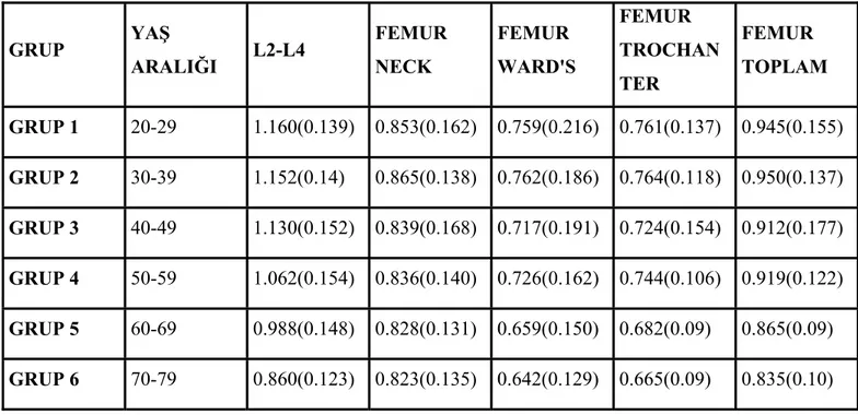 Tablo 13: olguların yaş gruplarına göre lumber ve proksimal femur DEXA BMD(gr/cm 2 ) ve  SD değerleri  GRUP  YAŞ  ARALIĞI  L2-L4  FEMUR NECK  FEMUR  WARD'S  FEMUR  TROCHAN TER  FEMUR  TOPLAM  GRUP 1  20-29  1.160(0.139) 0.853(0.162) 0.759(0.216) 0.761(0.13