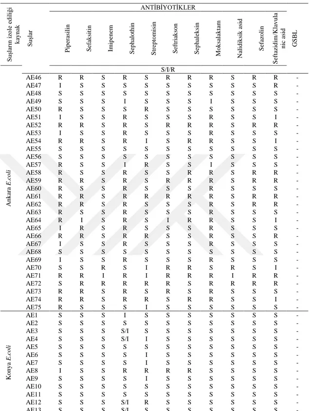 Çizelge 2 (Devam). E. coli bakteri suşlarının antibiyotik duyarlılık test sonuçları 