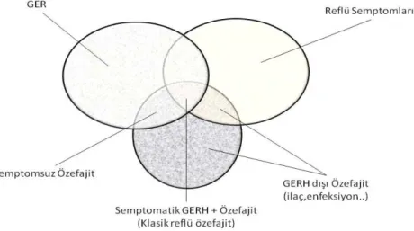Şekil 1 : GÖRH, semptomlar ve özofajit arası ilişki 