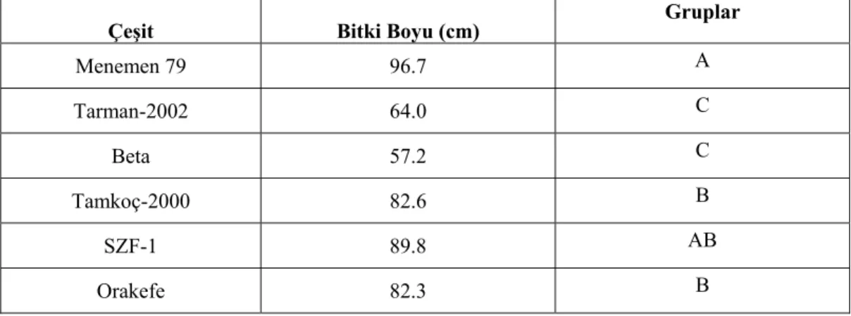 Çizelge 4.6 Bitki Boyuna (cm ) Ait Değerler ve LSD Gruplandırması 