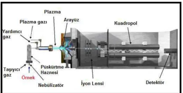 Şekil 1.2’de bu kısımlar şematik olarak gösterilmiştir. 