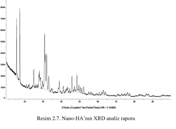Şekil 2.2. Nano-HA’nın EDS analizi  