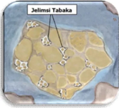 Şekil 1.3. Jelimsi tabaka oluşumu  (Kosmatka ve ark 2006).