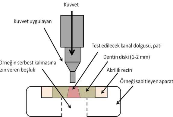 Şekil 1.7. Push-out bağlanma dayanımı test düzeneği (Sungur ve ark 2011). 