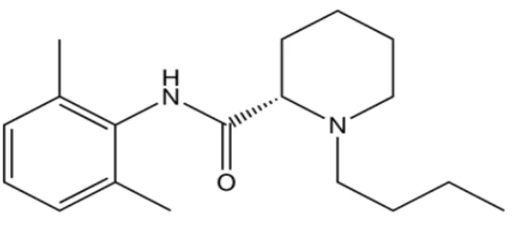 Şekil 3. Levobupivakainin açık kimyasal formülü 