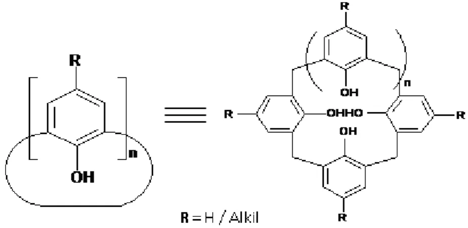 Şekil 1.18. Kaliks[n]arenler (Sap, 2009)